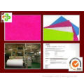 OEM 100% PP Spunbond Nonwoven Fabric / TNT Nonwoven Fabric